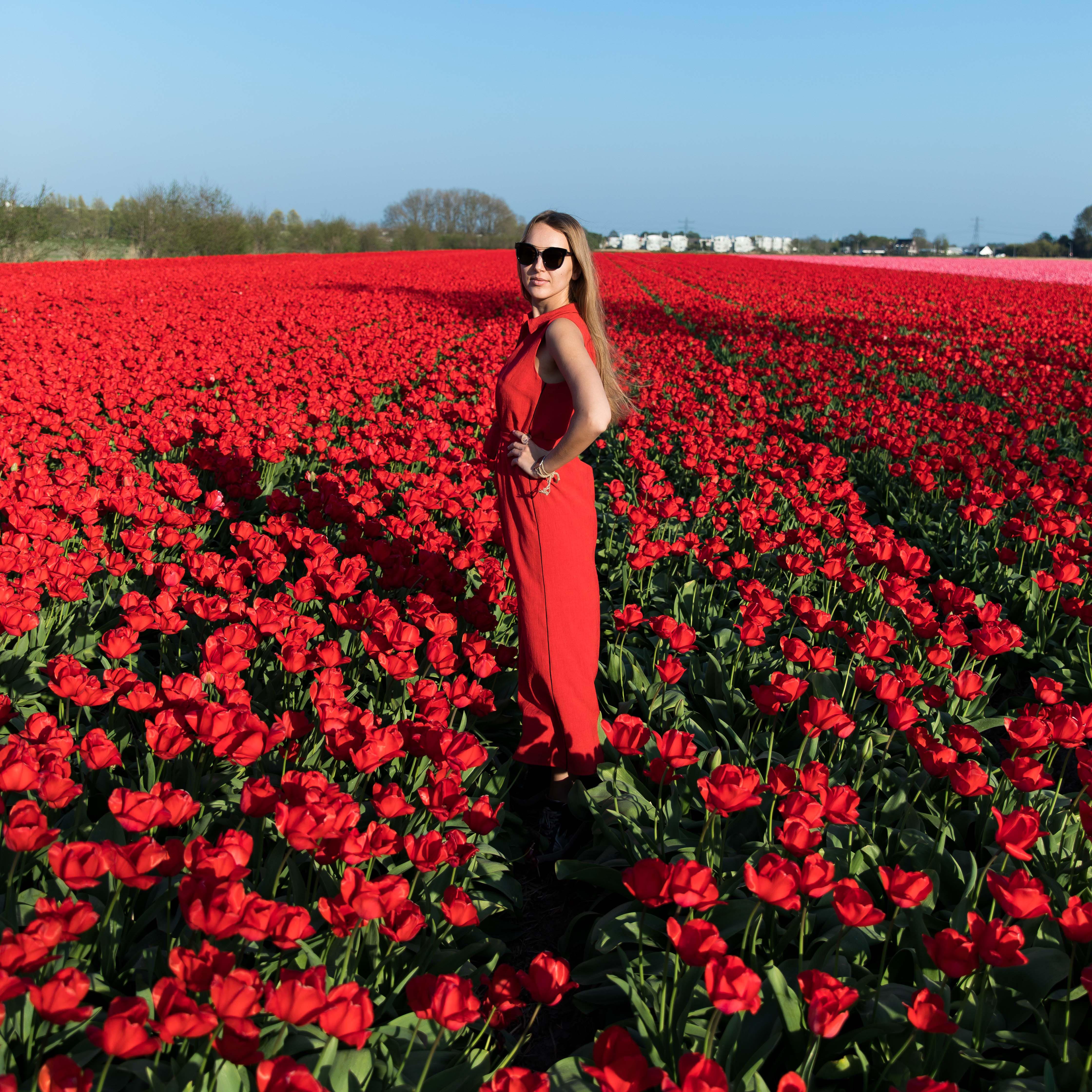 GEMOLOGUE_Liza Urla_jewellery blogger Liza_jewelry blogger Liza_jewelry blog_jewellery blog UK_jewellery blog London_blog about jewellery_get the look women's fashion_get the look_cefinn red dress_cefinn samantha cameron_Yvonne Léon_Yvonne Leon ear cuff_baroque pearl pendant_baroque pearl trend_amsterdam to tulip fields of lisse_amsterdam tulip fields lisse